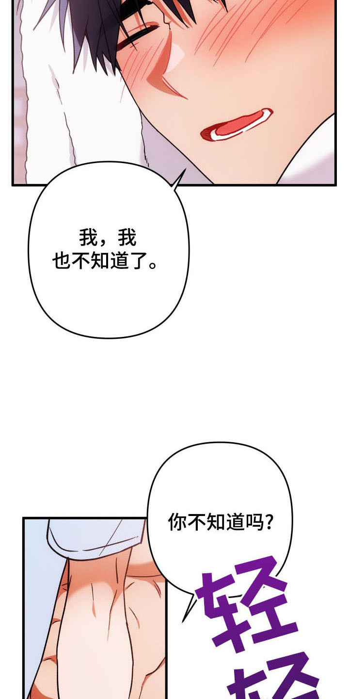 灰熊丘陵房屋漫画,第59章：玫瑰香气4图