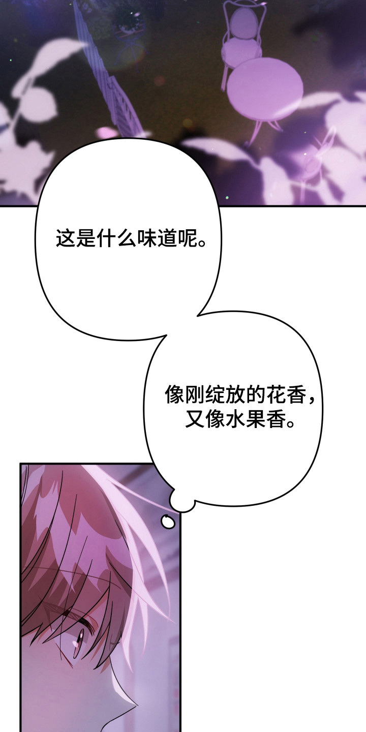 灰熊的玫瑰住宅韩漫漫画,第53章：奇怪想象4图