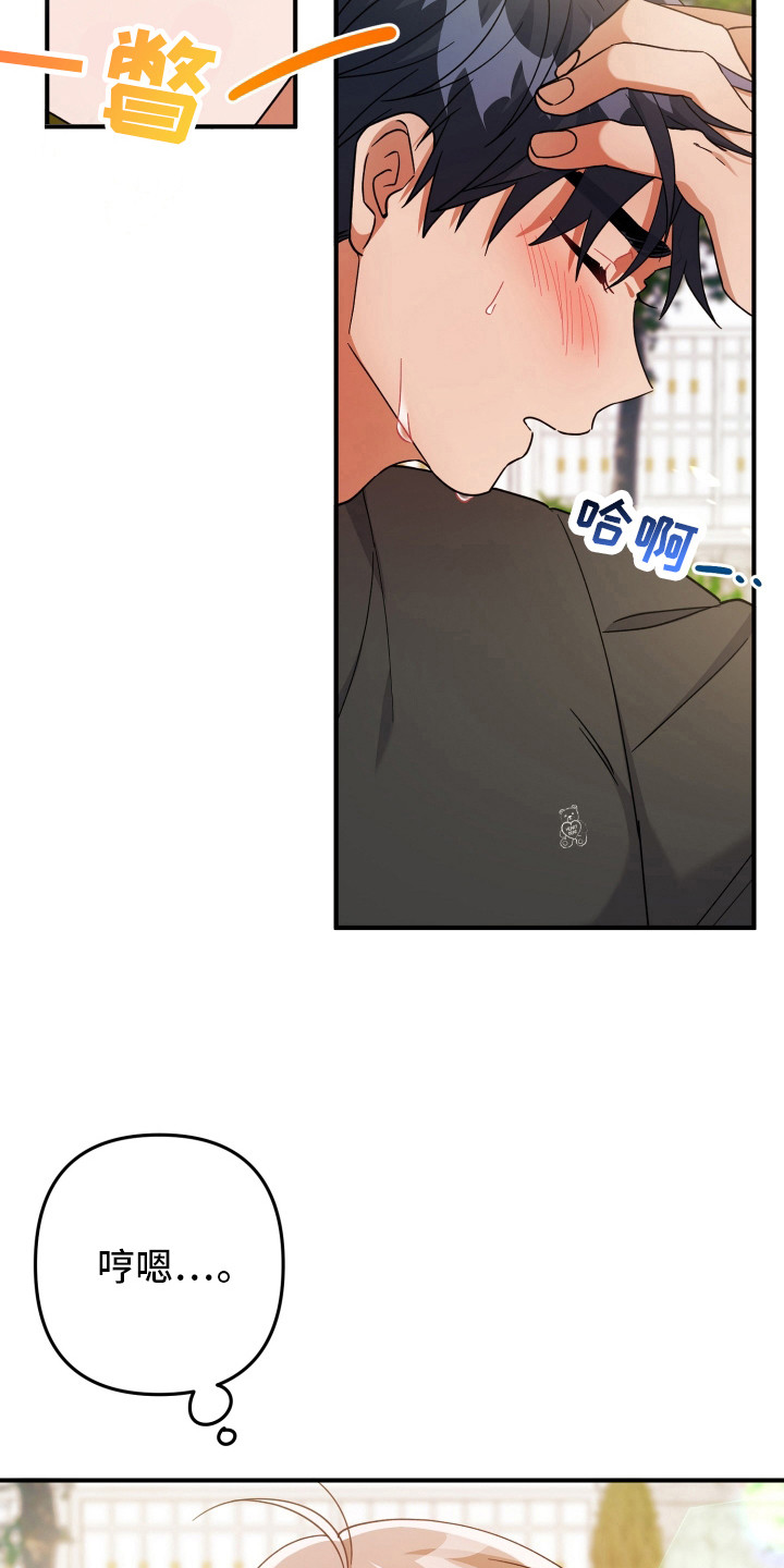 灰熊的玫瑰住宅韩漫漫画,第50章：正常运转3图