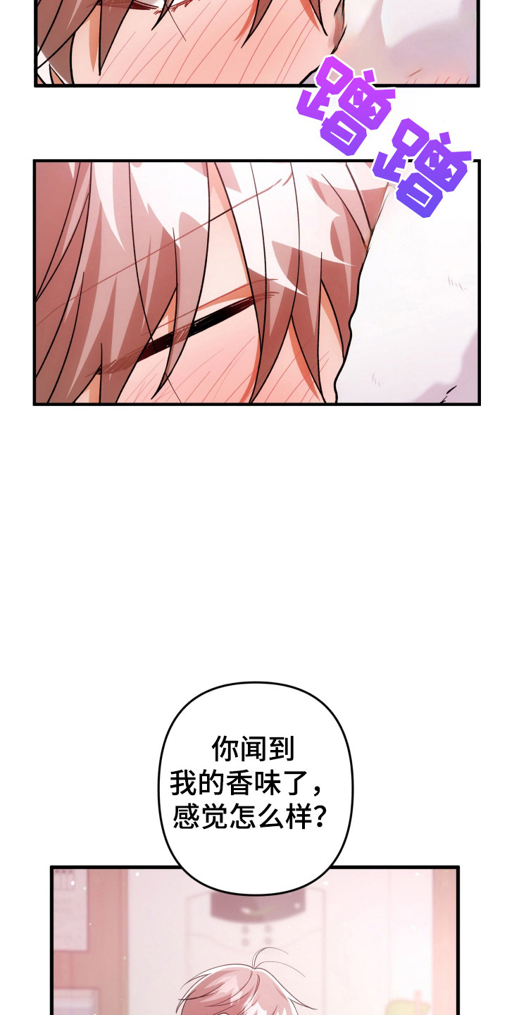 灰熊的玫瑰住宅漫画,第60章：玫瑰气息2图