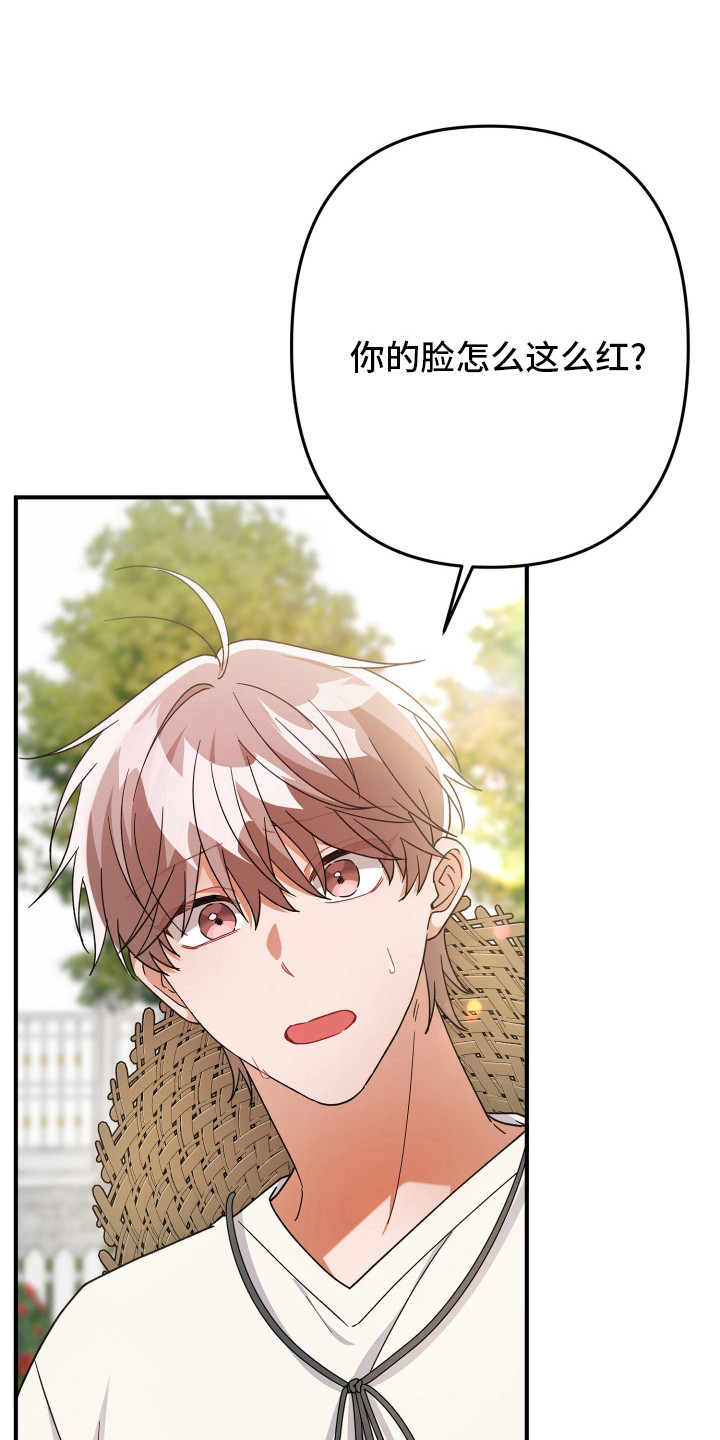 灰熊丘陵住宅漫画,第51章：脸红1图