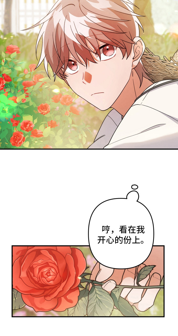 灰熊的玫瑰住宅韩漫漫画,第50章：正常运转4图