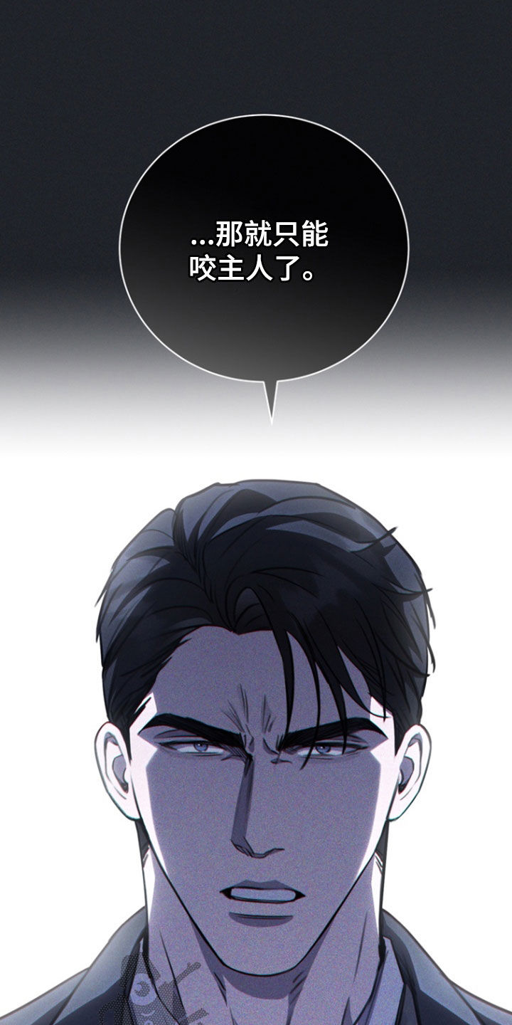 黑手边界第二季免费观看漫画,第59章：你是在等我吗5图