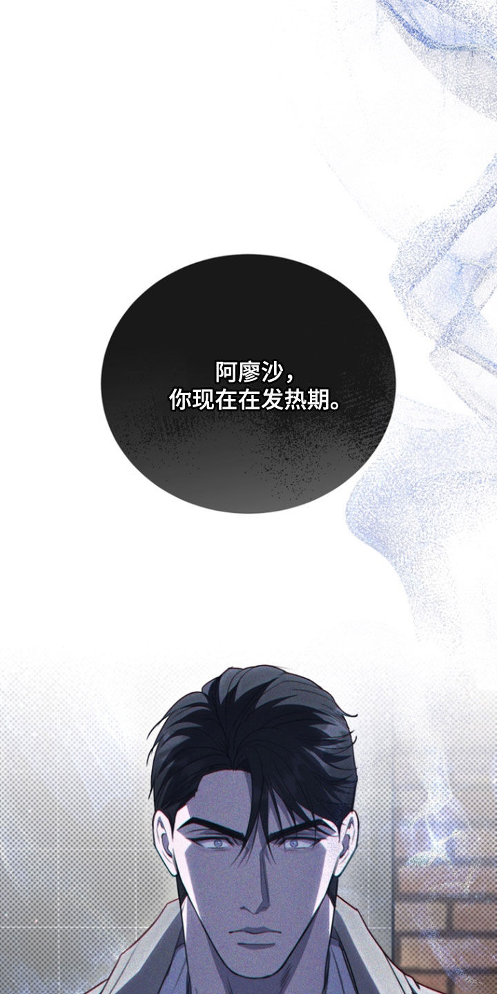 黑手边界漫画下拉式在线阅读免费漫画,第63章：我又不是医生2图