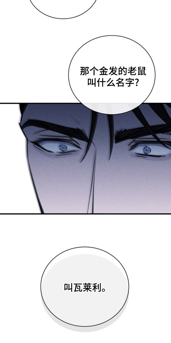 黑手边界小说阅读漫画,第57章：处刑2图