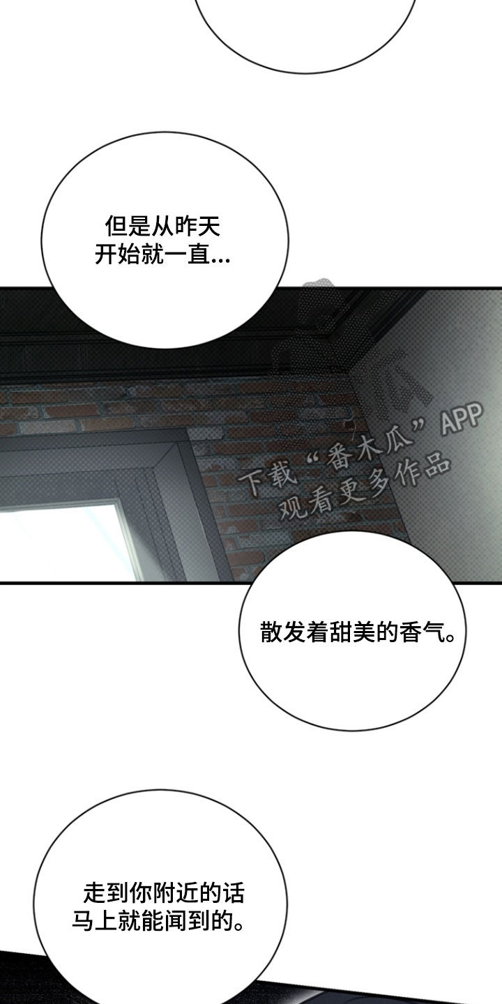黑手边界漫画下拉式在线阅读免费漫画,第63章：我又不是医生5图