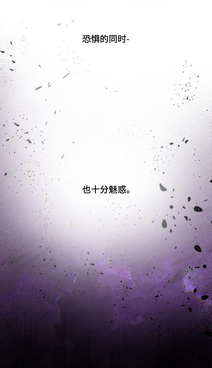 第42章：十分魅惑1