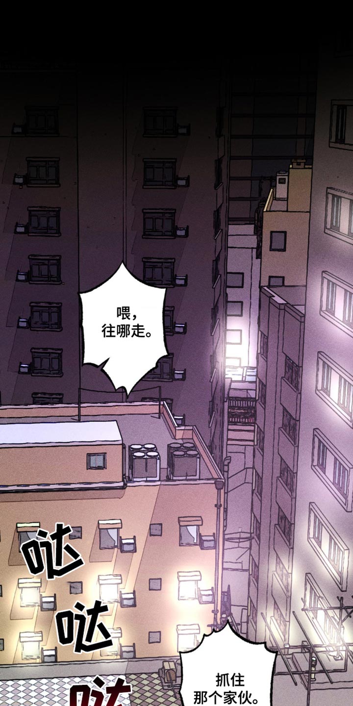第43章：战略性的选择0