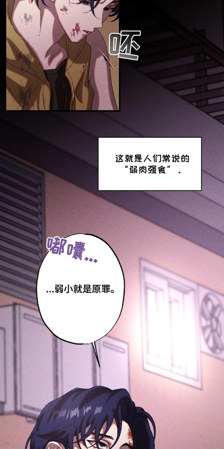 第43章：战略性的选择2