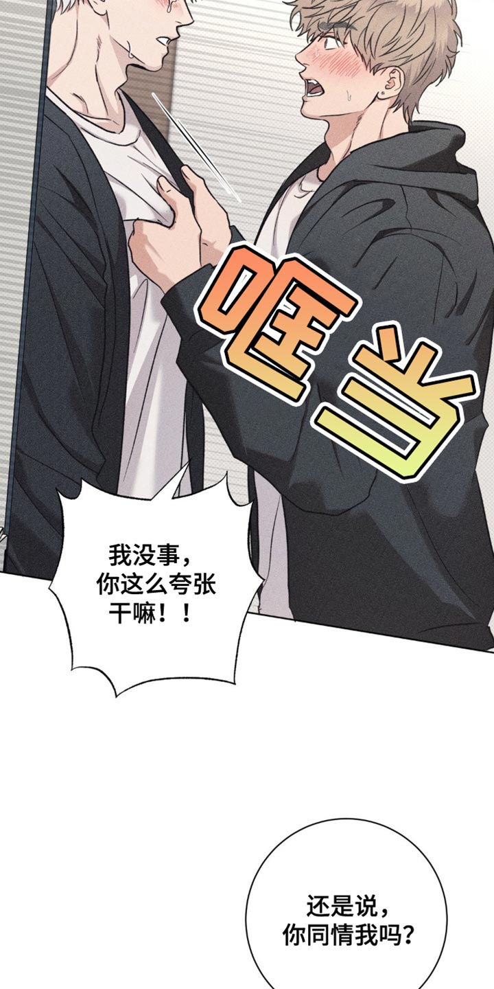 迟来的深情漫画,第46章：到此为止2图