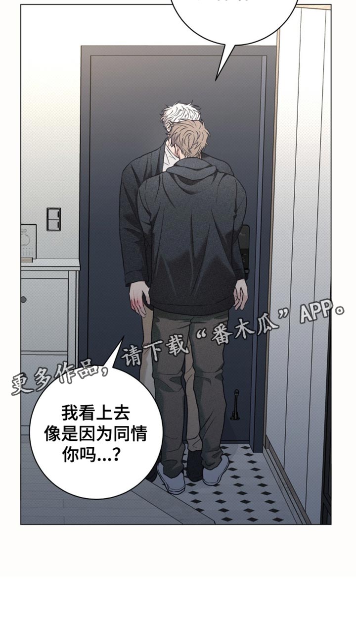 迟来的深情漫画,第46章：到此为止4图