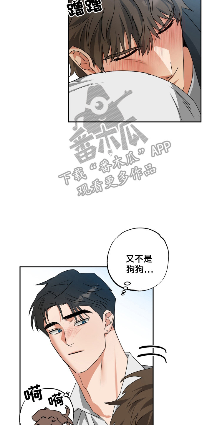 偷心发型师漫画,第37章：自愿留下3图