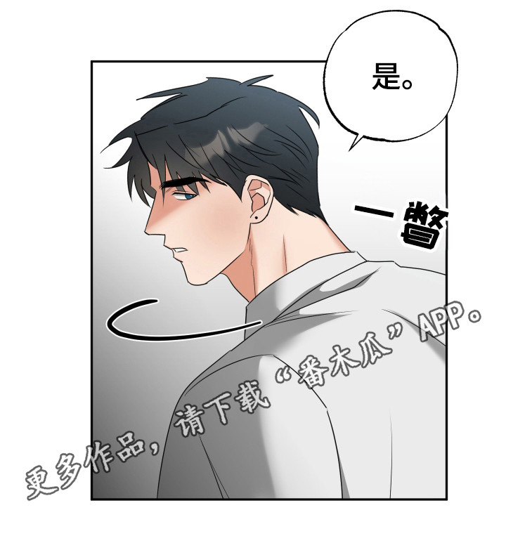偷心发型师漫画,第33章：累计履历3图