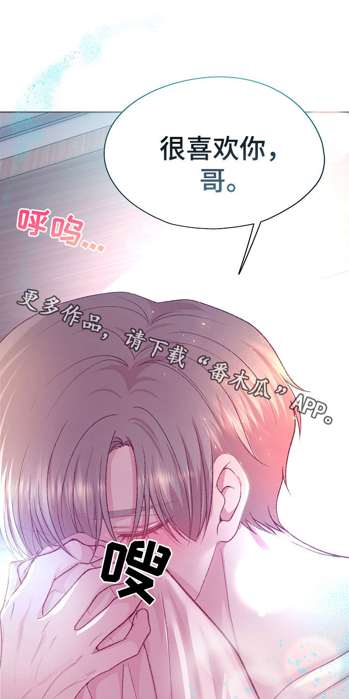 命运伴侣漫画,第60章：很喜欢你4图