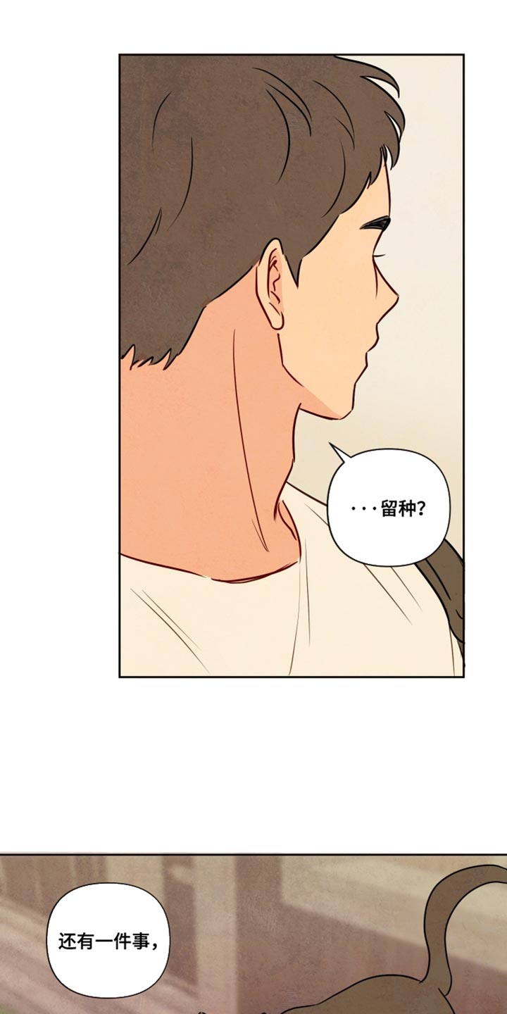 与神相拥漫画,第21章：你该做的事3图