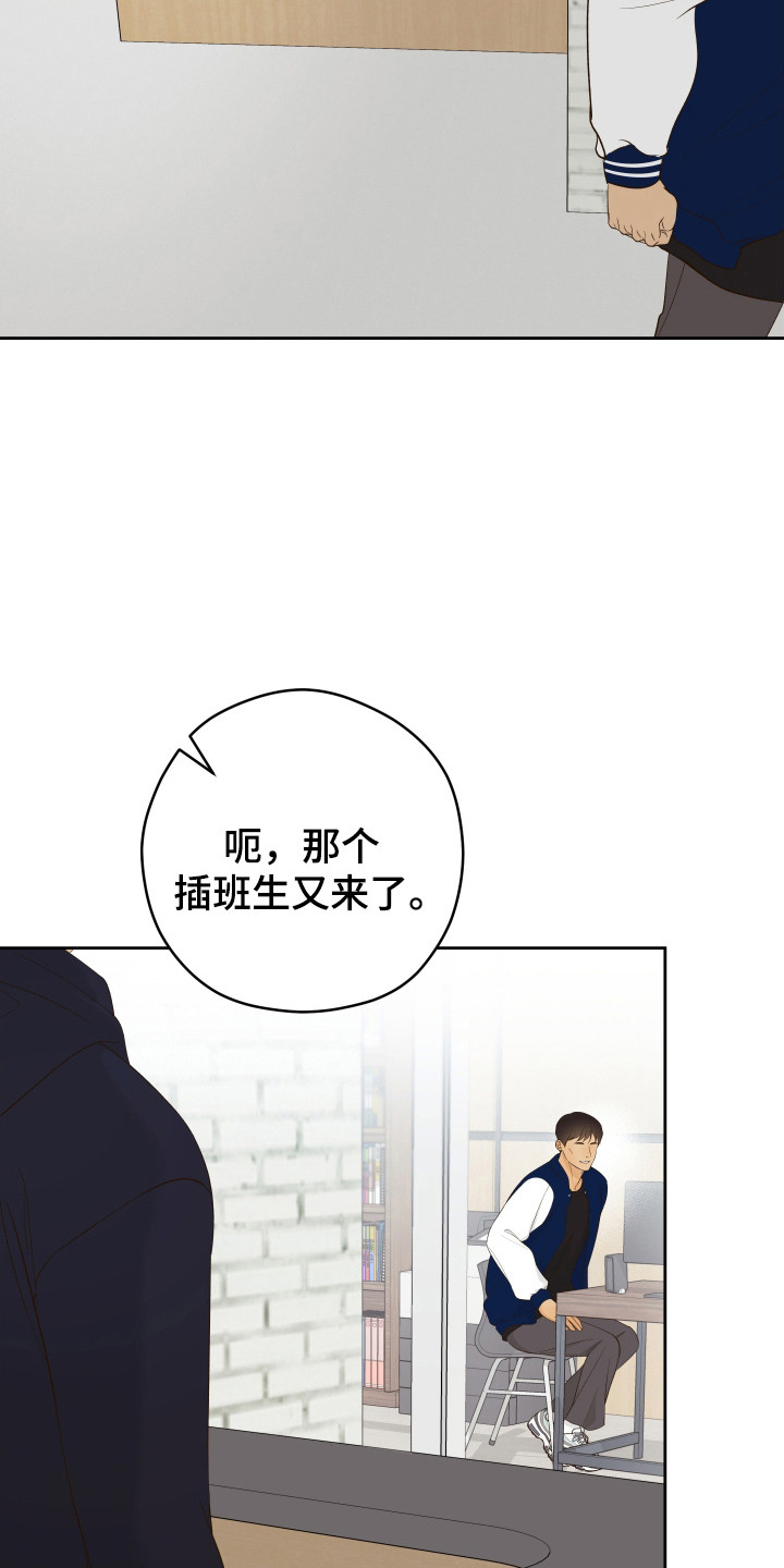 药店pop海报新手友好风漫画,第27章：议论2图