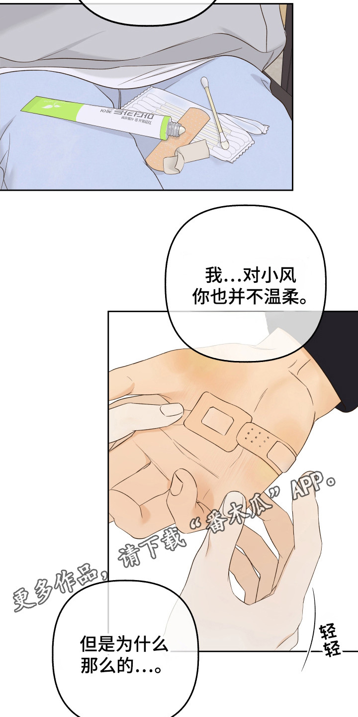 友好的风漫画,第29章：因为好看5图