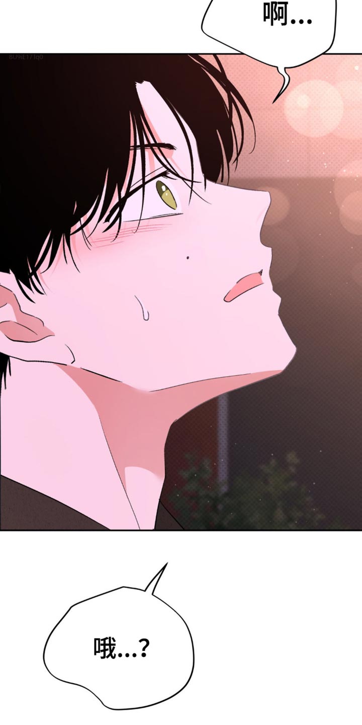 光随声动音响漫画,第19章：蓬勃向上的叶子5图