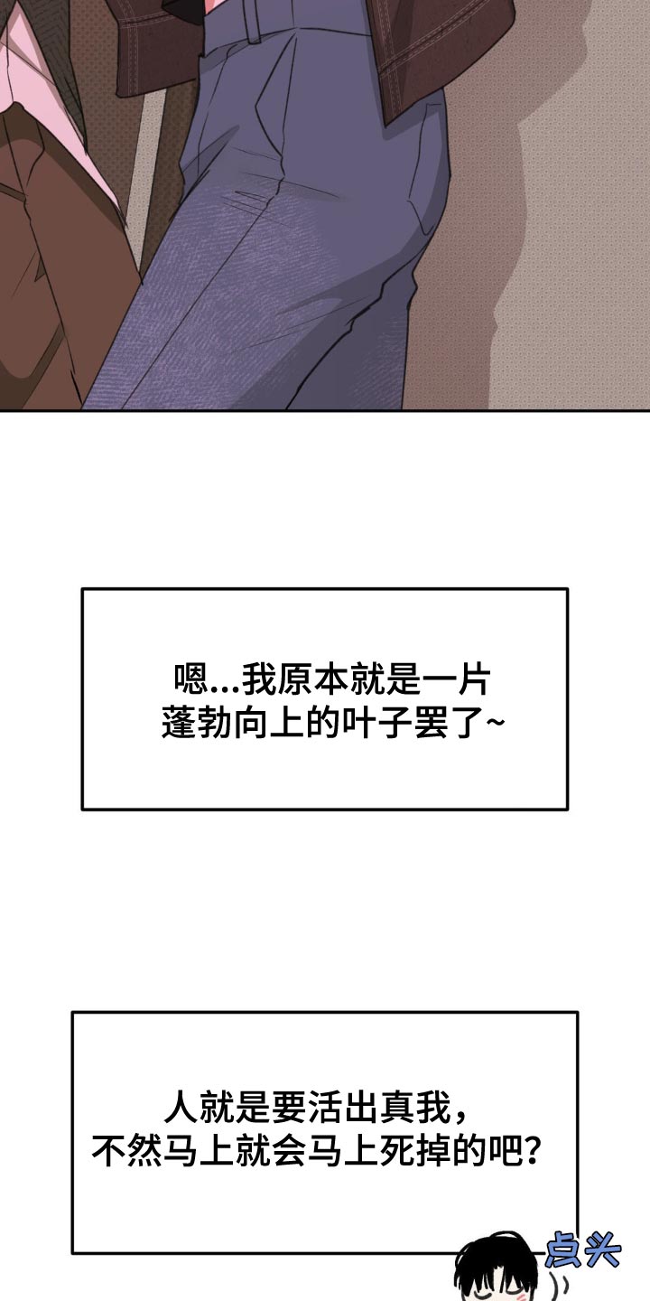 光随声动音响漫画,第19章：蓬勃向上的叶子5图