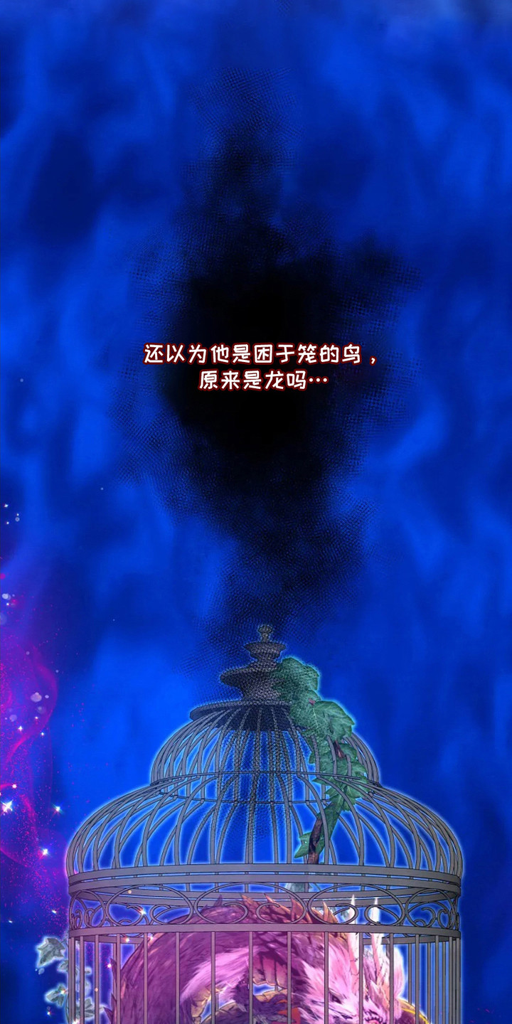 乱世之花漫画,第14章：亲自带队5图