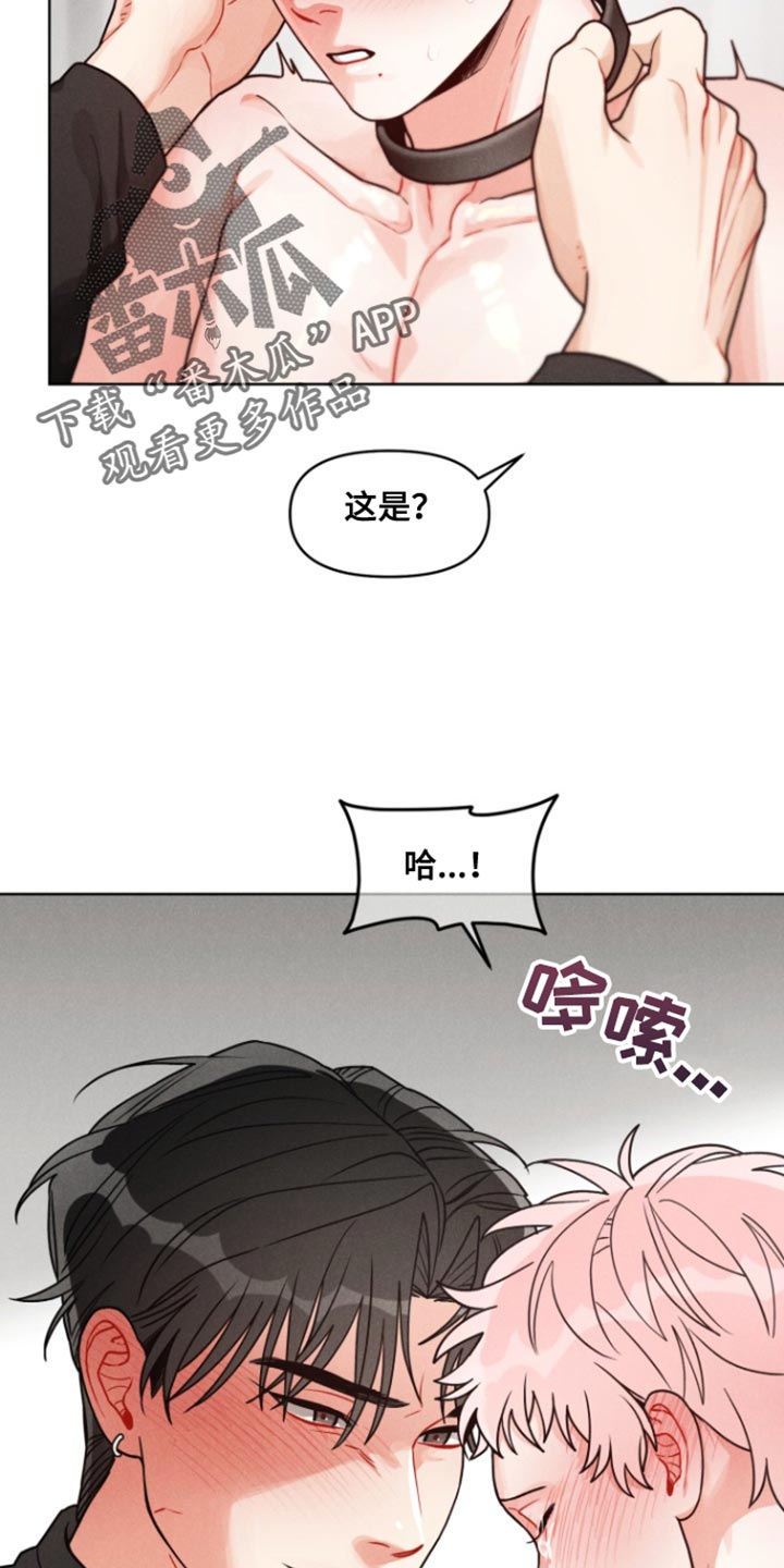私人定制地精scrap拆废机怎么获取漫画,第17章：我也爱你【完结】2图