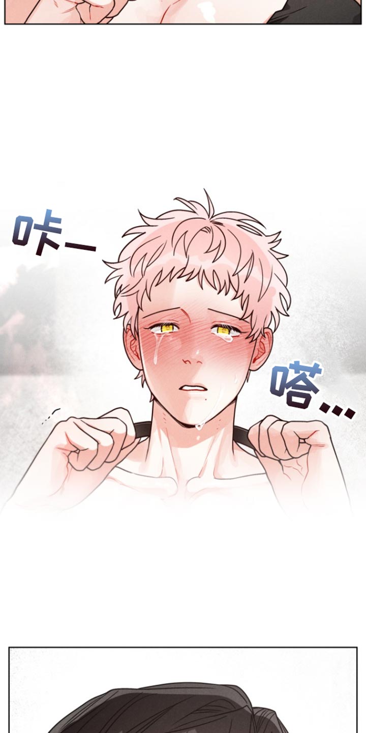 私人定制地精scrap拆废机怎么获取漫画,第17章：我也爱你【完结】4图