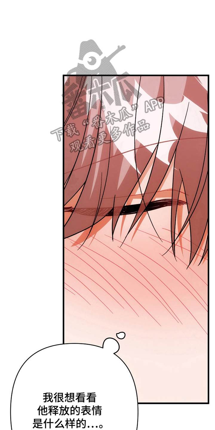 灰熊房子有多大漫画,第65章：优秀选手5图