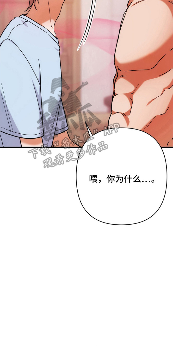 灰熊的玫瑰住宅灰熊的玫瑰住宅漫画,第65章：优秀选手3图