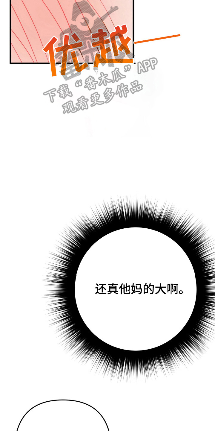 灰熊的玫瑰住宅漫画,第62章：温暖4图