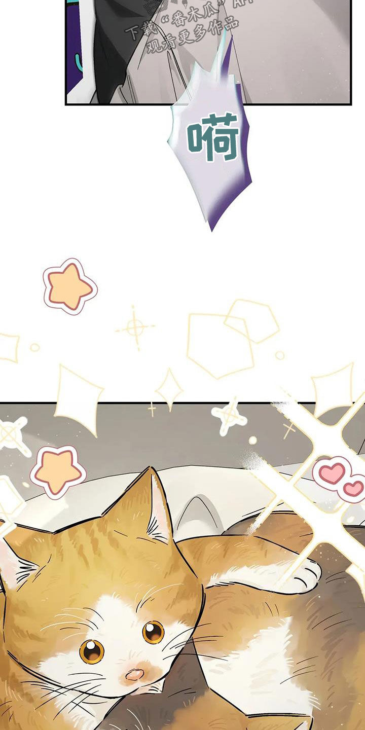 把我的命运还给我漫画,第58章：该怎么谈恋爱2图