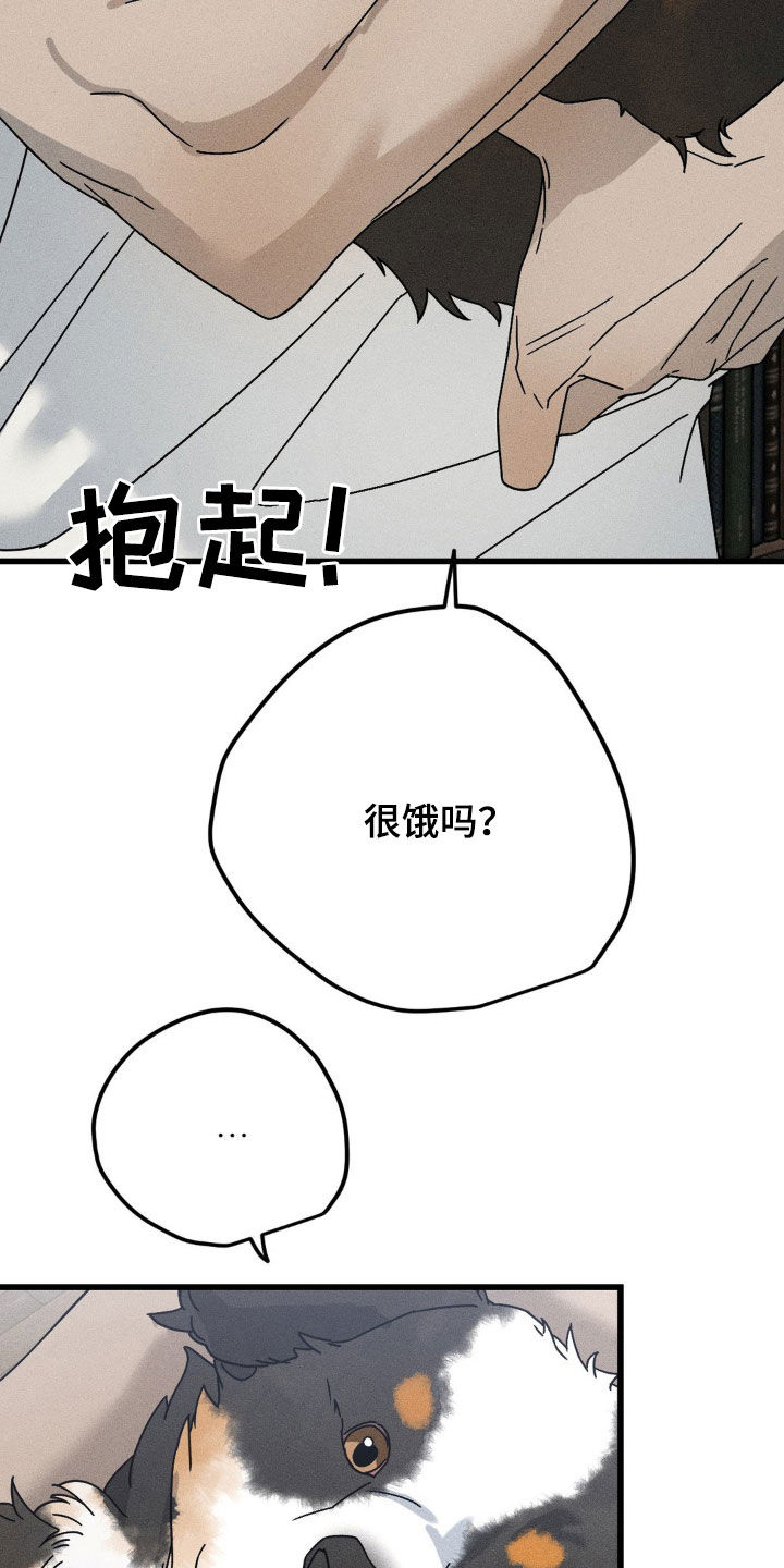 战争后遗症漫画,第27章：想快点见到他4图