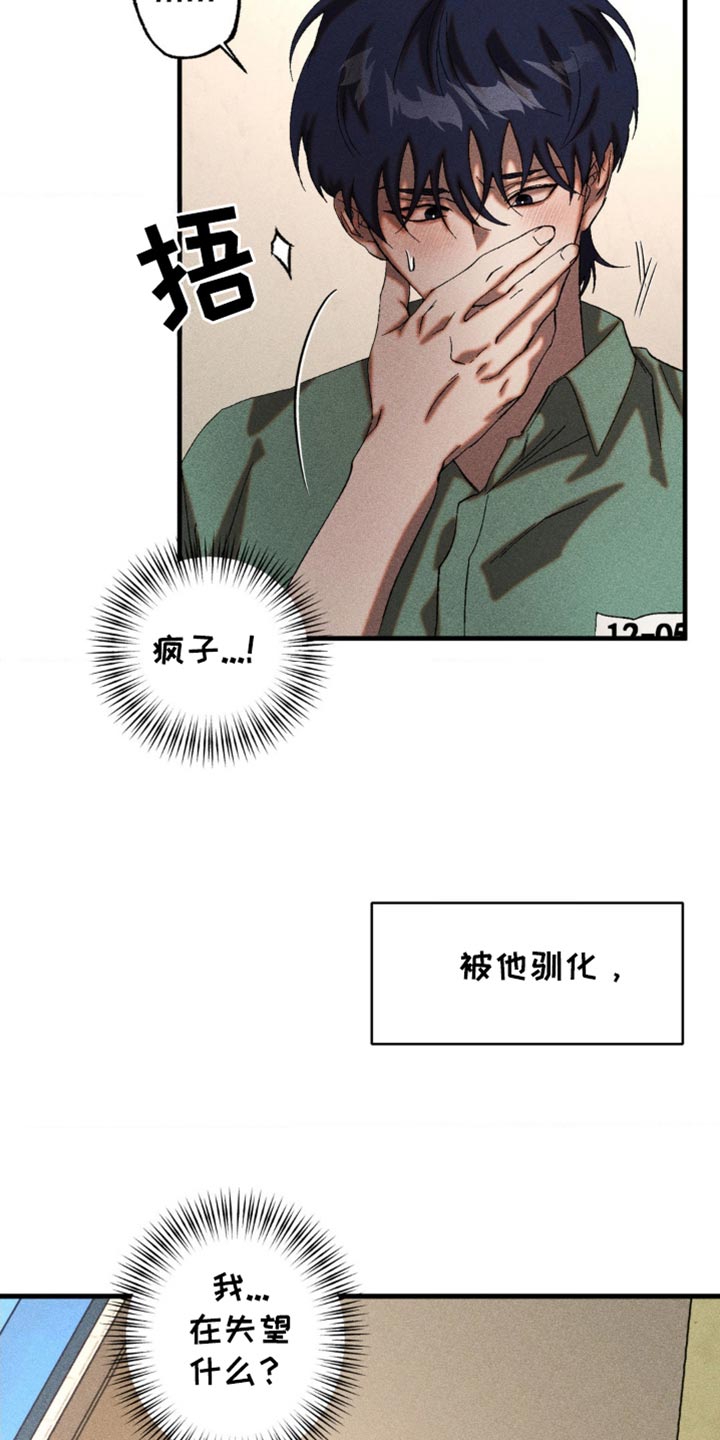 第52章：被他驯化3