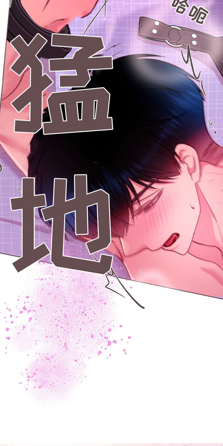 命运伴侣漫画,第68章：快来吧3图