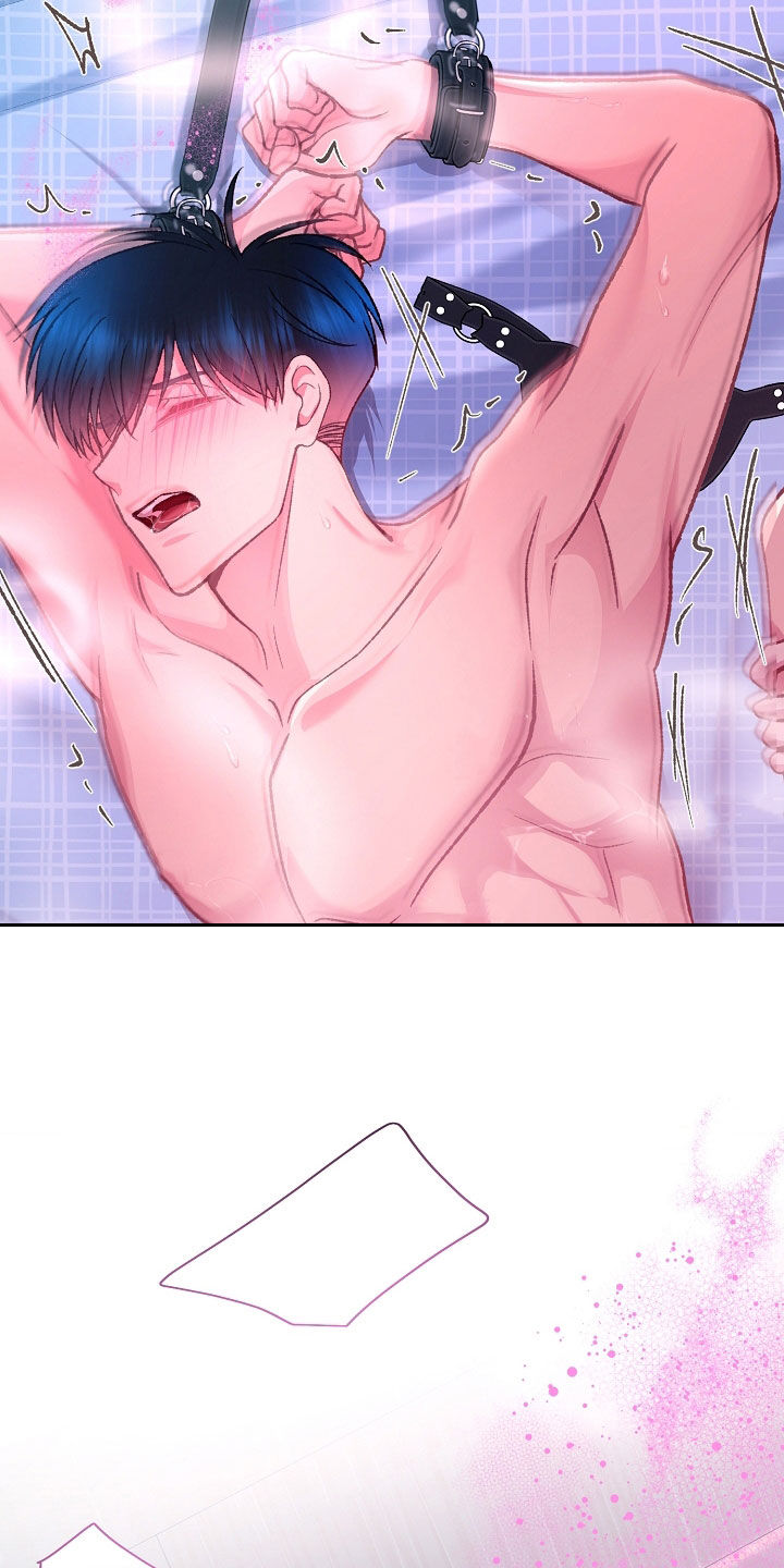 命运伴侣漫画,第68章：快来吧1图