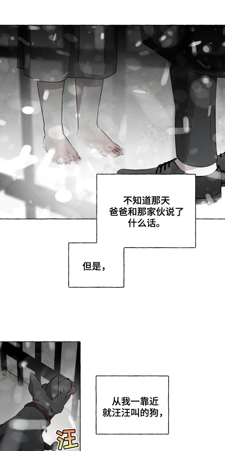 血族囚笼下拉式漫画最新章节漫画,第45章：夺走我的位置3图