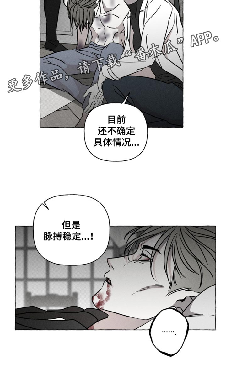 血族囚笼米卡尔漫画,第52章：治疗剂5图