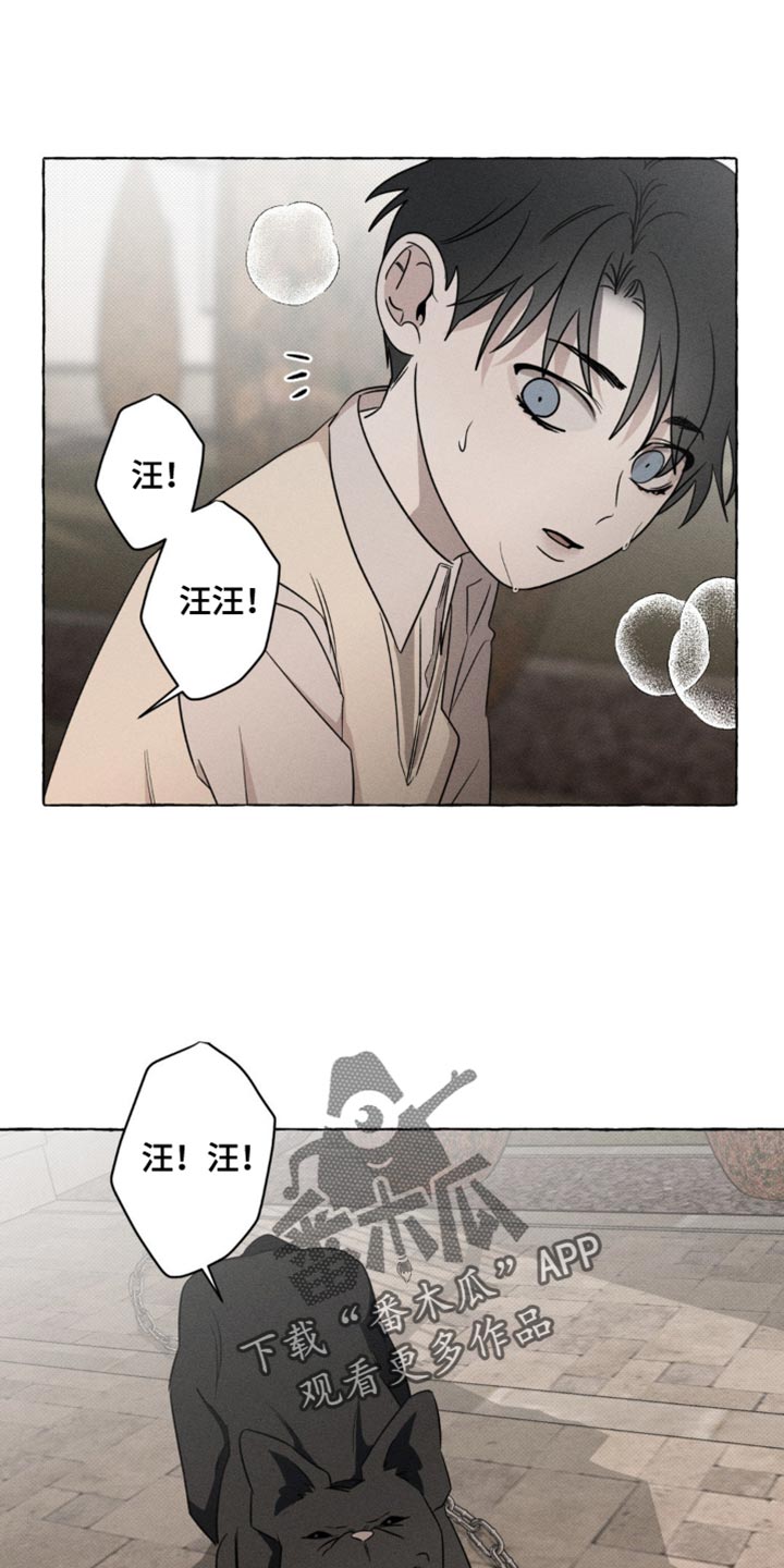 血族囚笼未婚妻角色分析漫画,第49章：吸引视线4图