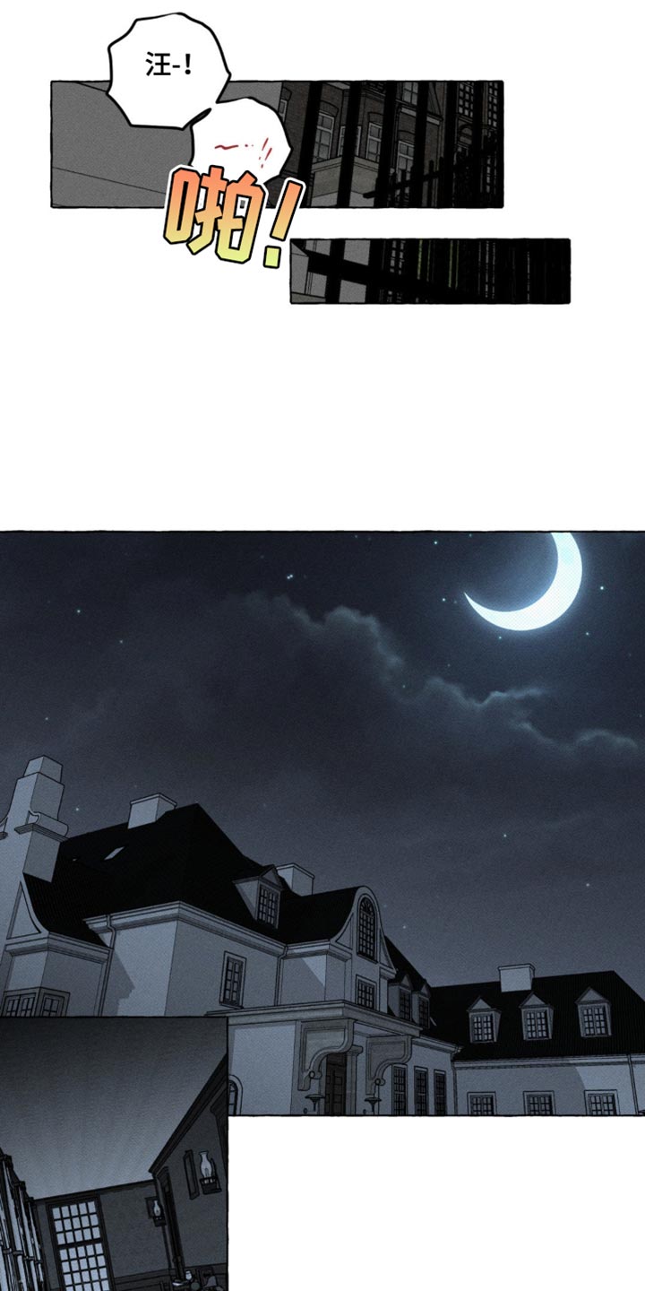 血族囚笼未婚妻角色分析漫画,第49章：吸引视线2图