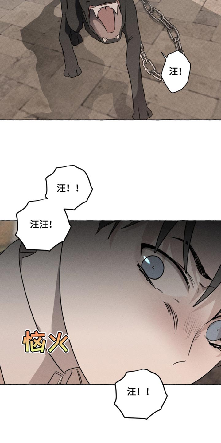 血族囚笼未婚妻角色分析漫画,第49章：吸引视线5图