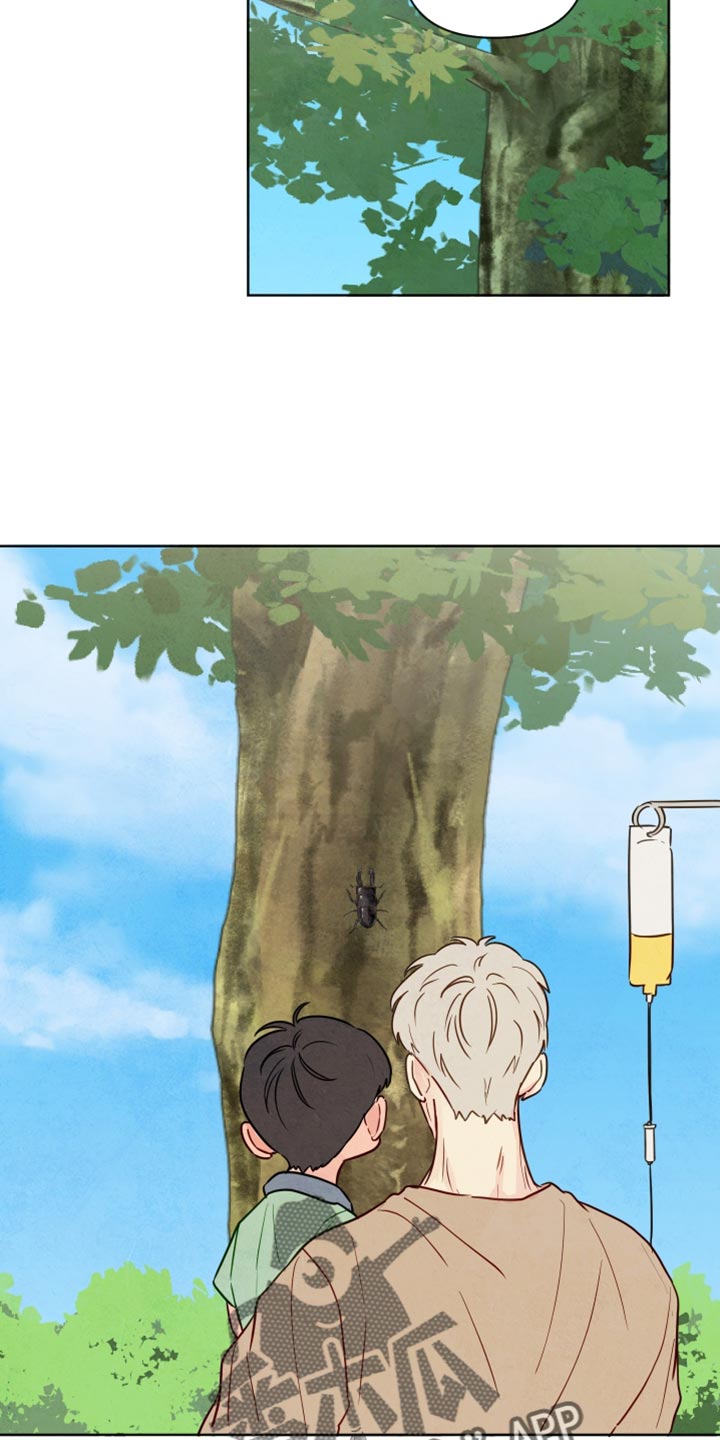 与神并肩的图片漫画,第31章：我抱着你！4图