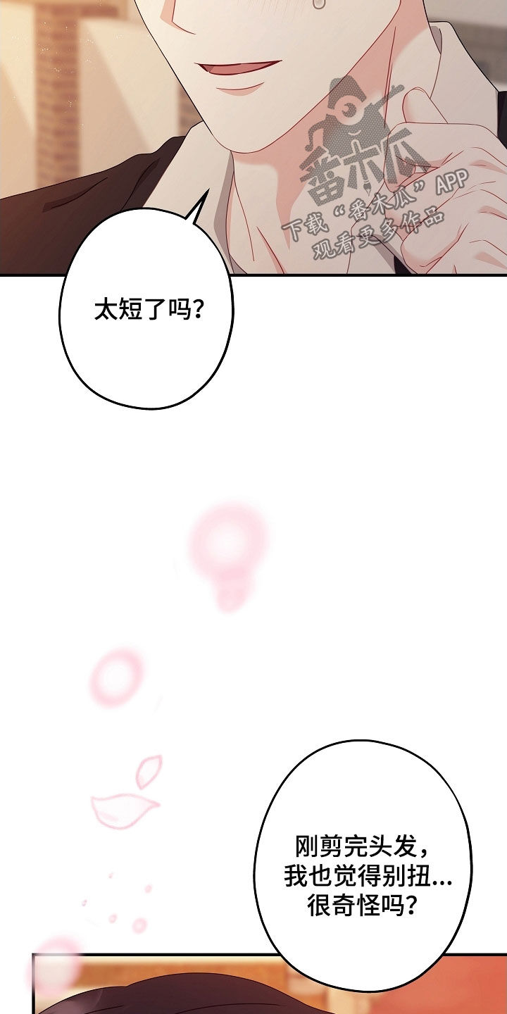 忘记前任叫什么名字了正常吗漫画,第27章：剪头发1图