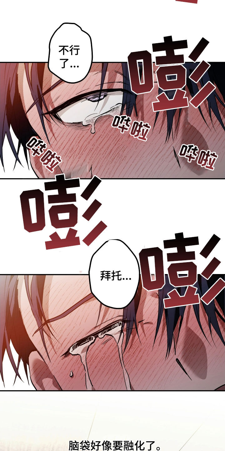 我的小笨熊漫画,第30章：要离开这里5图