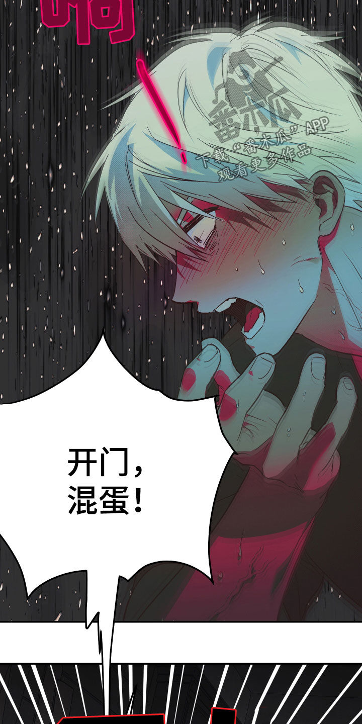 我的小笨熊漫画,第27章：这是爱5图