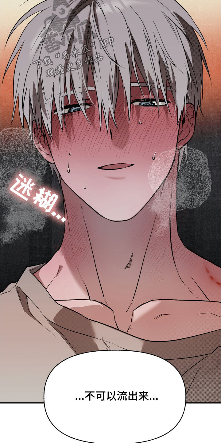 我的小笨熊漫画,第30章：要离开这里5图