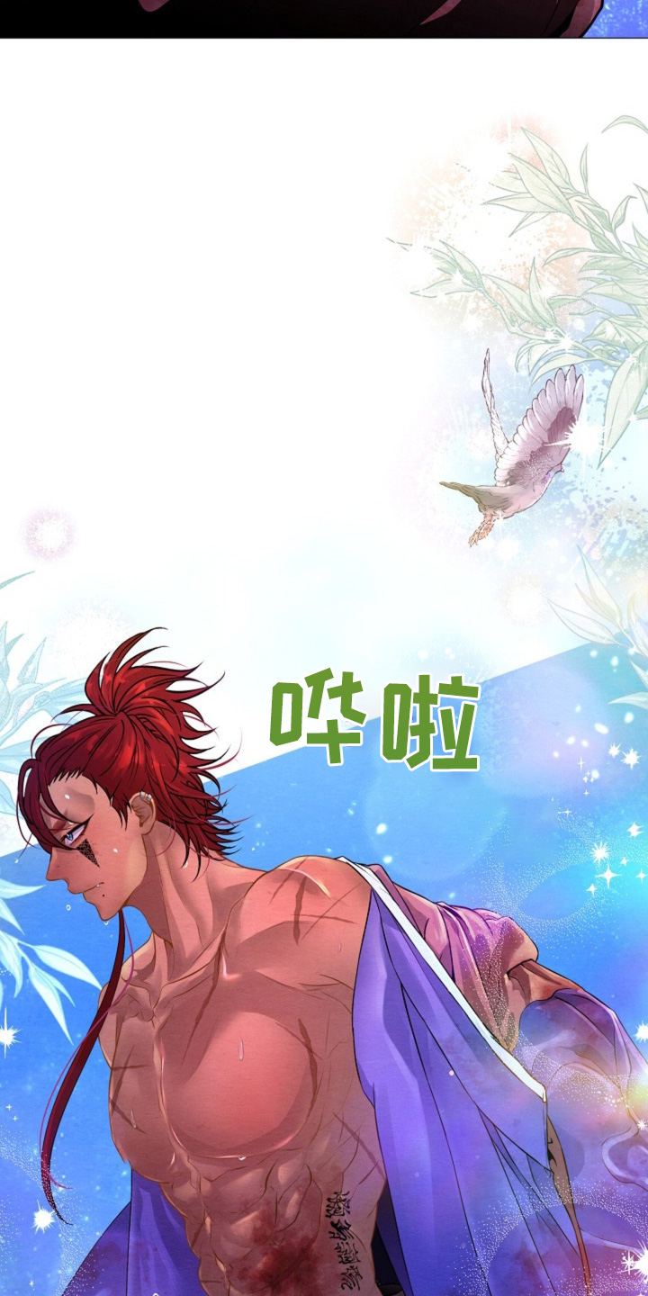 乱世之花漫画,第32章：你受伤了3图