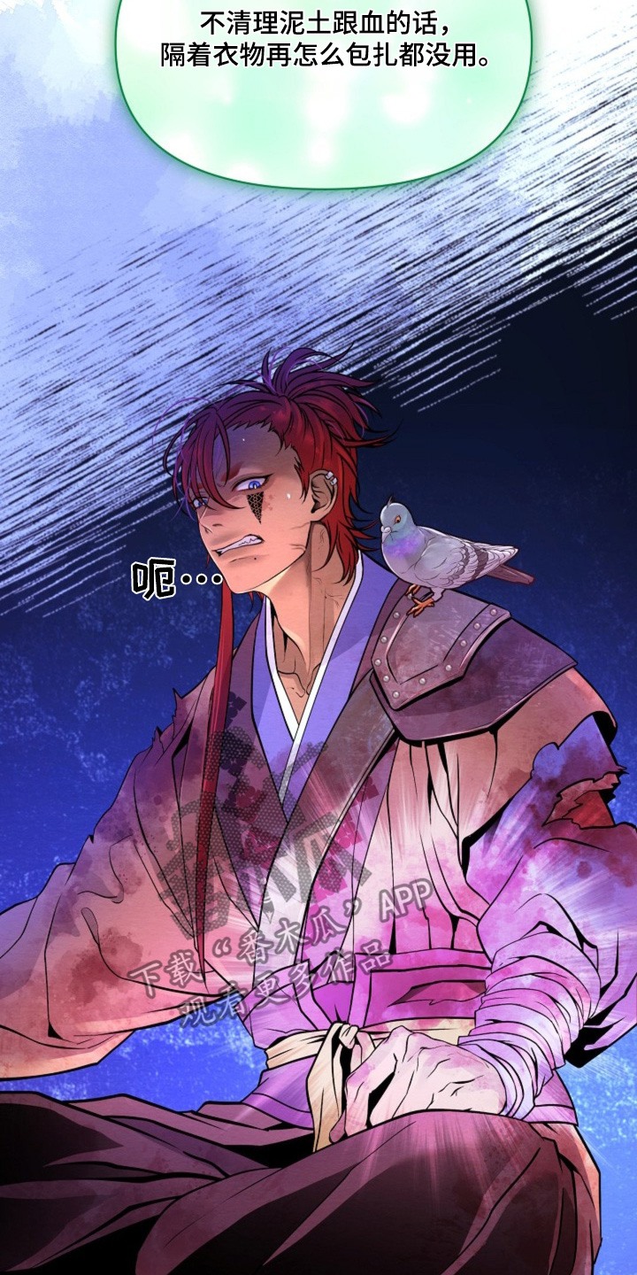 乱世之花漫画,第32章：你受伤了2图