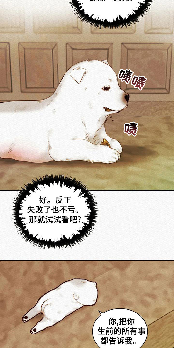 阴语默录韩漫又叫什么漫画,第26章：调查5图