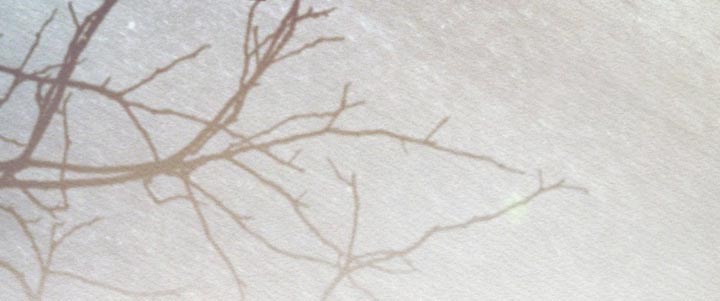 阴语默录是鬼夜曲下拉式台版漫画,第145章：【第二季】好像也不错1图