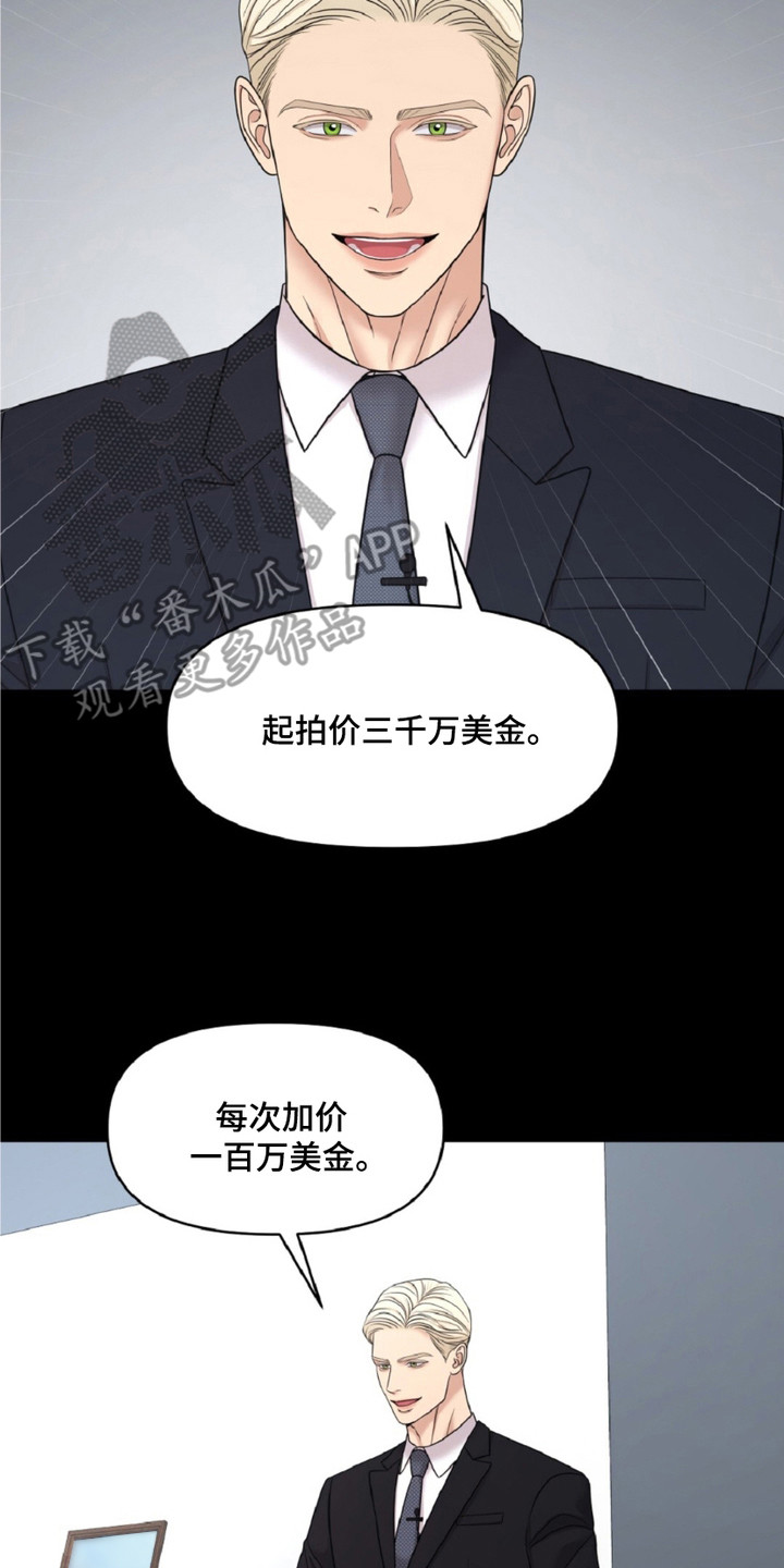 第9章：拍卖师3