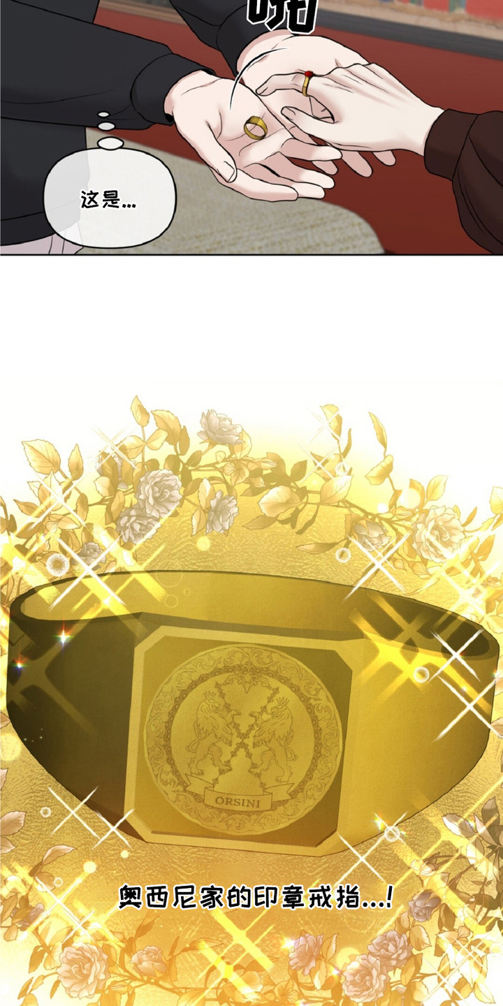 第21章：印章戒指4